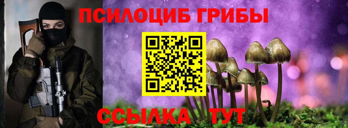 Елец  Псилоцибиновые грибы Psilocybe  Вход с VPN  Галлюциногенные грибы прущие грибы 